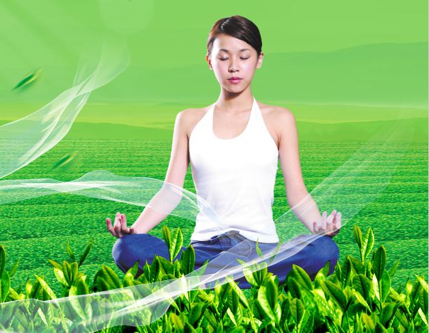 高等艺术暨技术学院学士毕业证